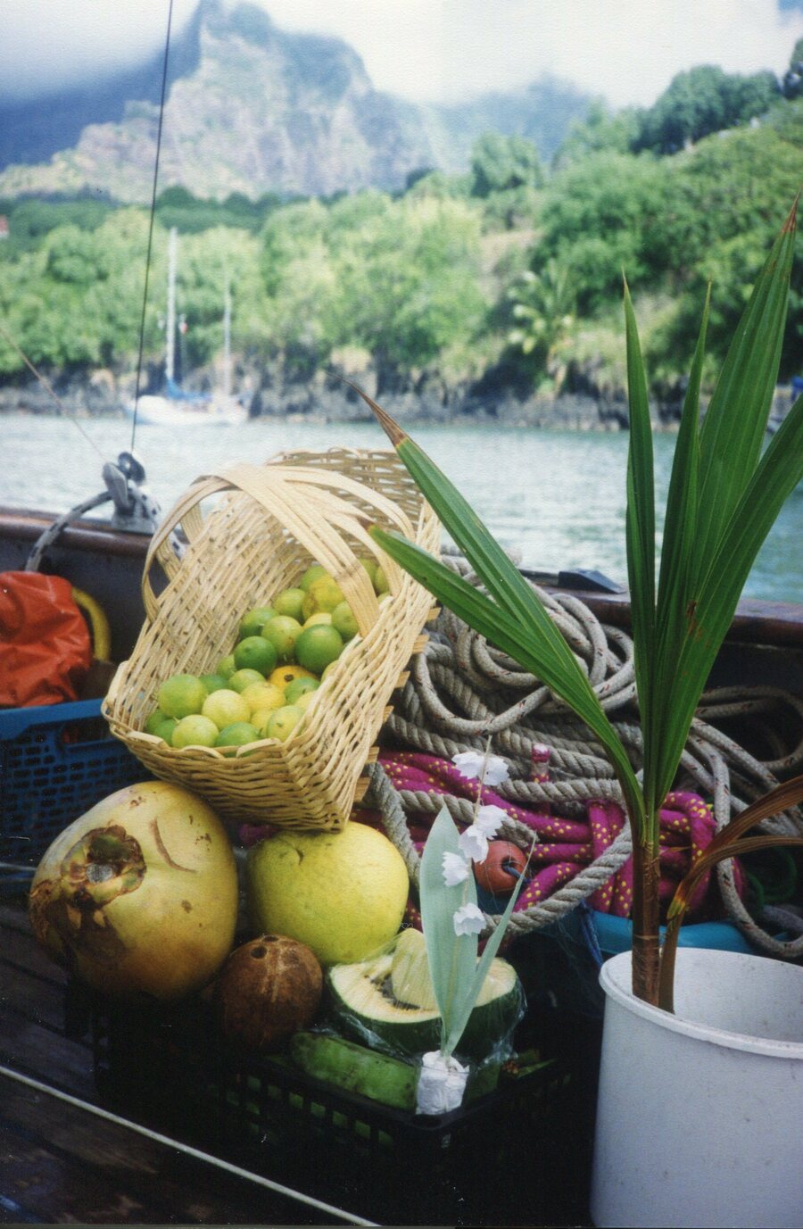 Fuits glanés à Hiva Hoa