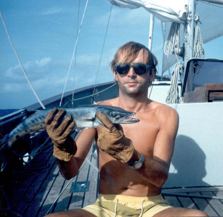 Barracuda des Antilles