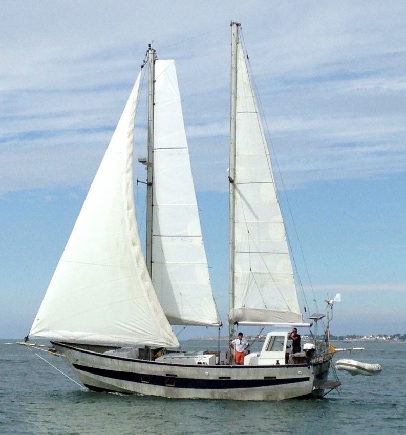 La nouvelle misaine